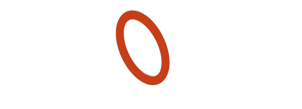 O-Ring